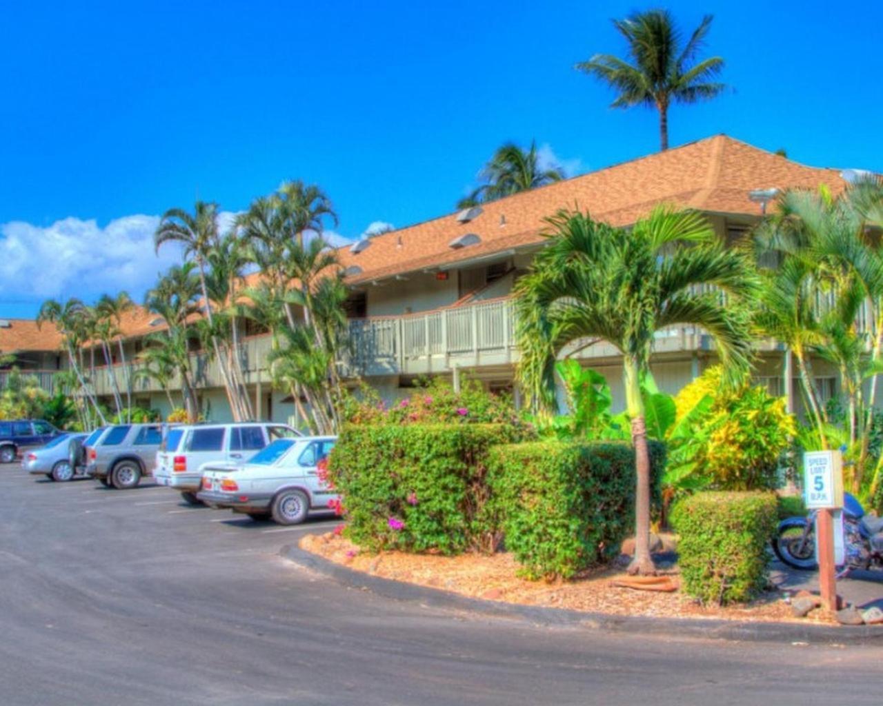 Kihei Bay Surf 130- Garden View Studio, Free Parking Kültér fotó