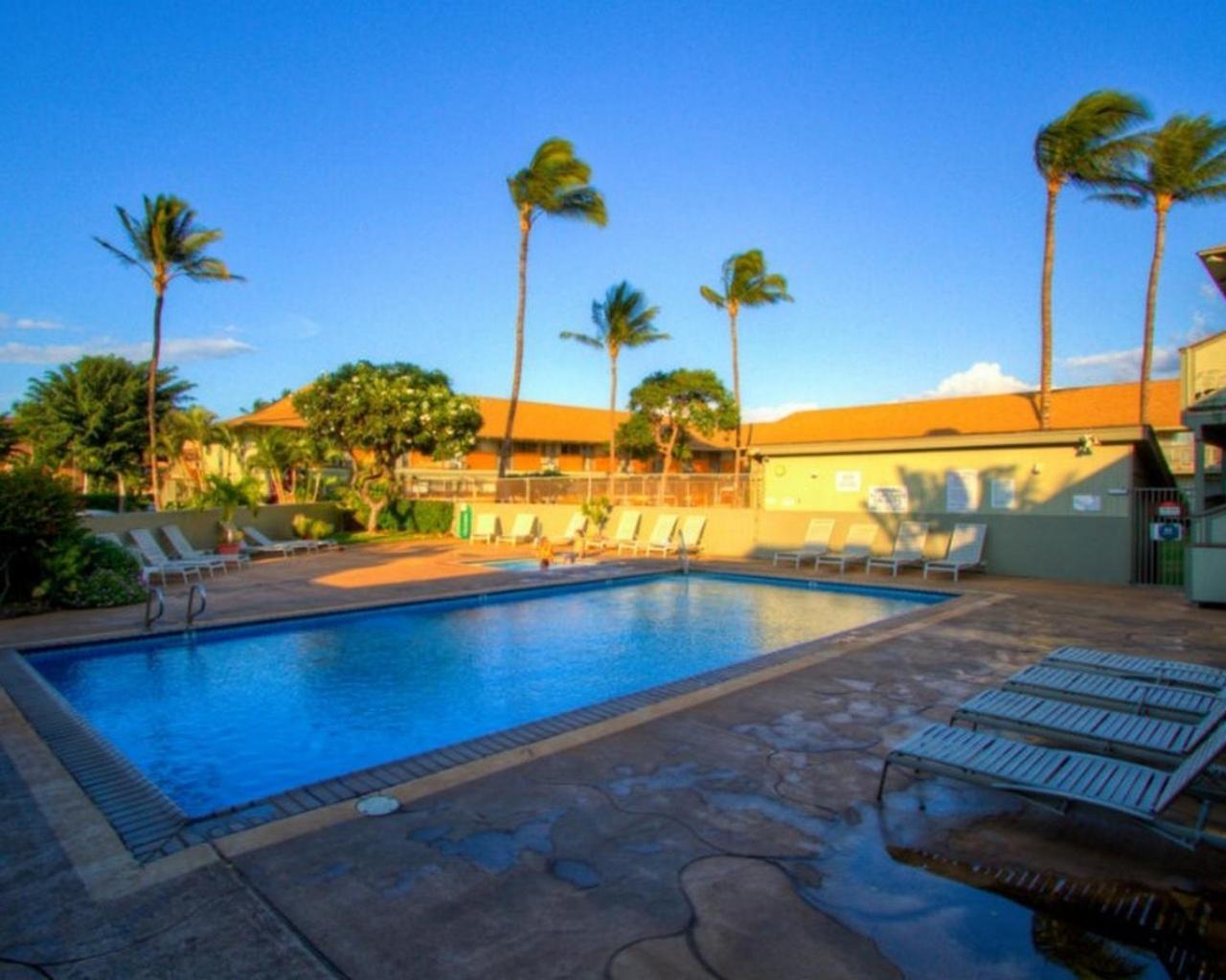 Kihei Bay Surf 130- Garden View Studio, Free Parking Kültér fotó